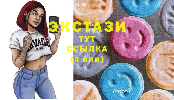 гидра Медвежьегорск